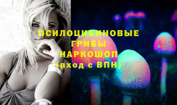 прущая мука Армянск